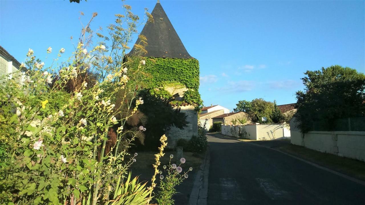 Les Gites Du Vigneron Et Cd'H Saint-Seurin-de-Palenne Екстериор снимка